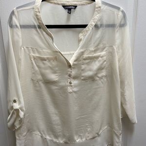 Express Sheer Blouse